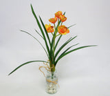 SP0170 Cymbidium Orchid Bunch with Leaves & Roots 24cm 3 Colours