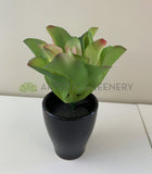 SP0179  Fake Small Succulent Real Touch 24cm Green / Red Perth | ARTISTIC GREENERY