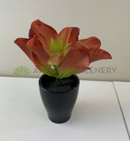 SP0179  Fake Small Succulent Real Touch 24cm Green / Red Perth | ARTISTIC GREENERY
