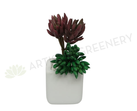 SP0181 Sedum Succulent Pick 18cm Green / Red