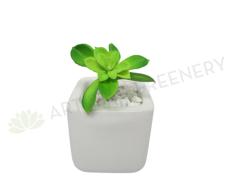 SP0185 Mini Green Succulent 17cm