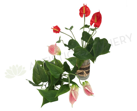 SP0188 Anthurium Bunch Real Touch 34cm Red / Pink