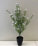 SP0191 Flowering Greenery White