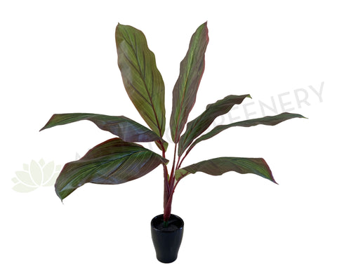 SP0204 Faux Red Cast Iron Plant Aspidistra 60cm | ARTISTIC GREENERY Artificial Plants Specialist