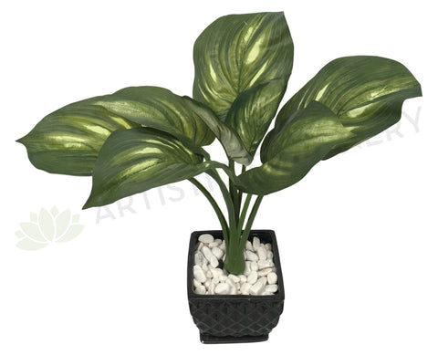 SP0206 Golden Pothos / Hosta Plant 57cm