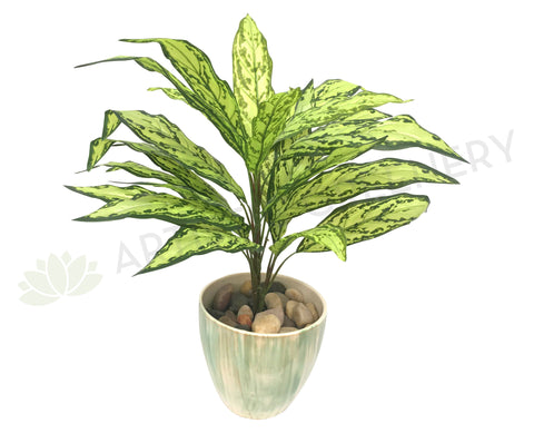 SP0209 Calathea Plant 68cm Real Touch