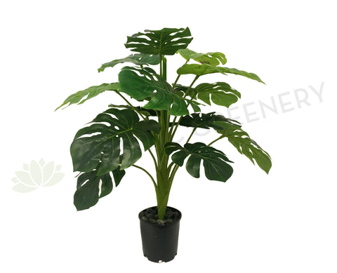 SP0218 Monstera Plant / Split Philo Plant Real Touch Leaves 70cm Tall