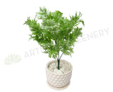 SP0220 Dusty Miller Plant 32cm