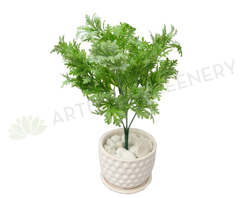 SP0220 Dusty Miller Plant 32cm