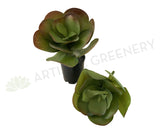 SP0222 Giant Flapjacks Succulent 31cm 2 Styles