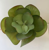 SP0222 Giant Flapjacks Succulent 31cm 2 Styles