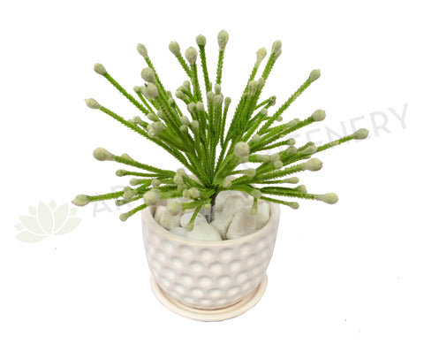 SP0223 Small Green Coral Plant 20cm