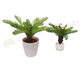 SP0230 Small Cycad Plant Real Touch 2 Sizes