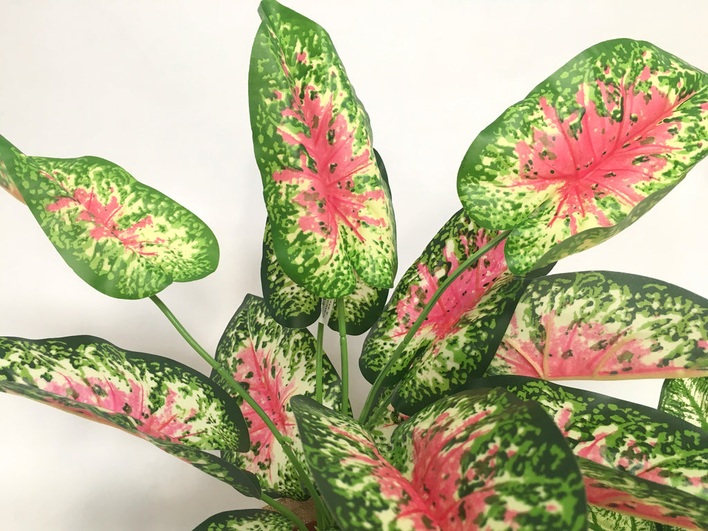 SP0233 Caladium Plant Syngonium Plant 38cm 2 styles faux Red plants