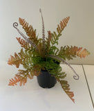 AUTUMN - SP0259 Fern with Fronds 34cm