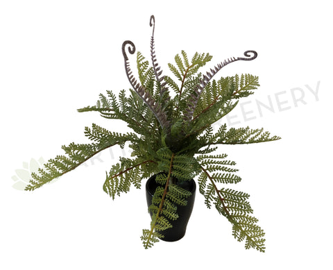 SPRING - SP0259 Fern with Fronds 34cm
