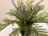 SP0259 Fern with Fronds 34cm 2 Styles