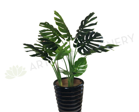 SP0265 Monstera / Swiss Cheese / Split Philo Plant 114cm