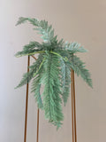 Grey Green - SP0270 Large Fern Bunch (new colour) 70cm long (upright 36cm) 