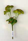 SP0279 Green Sedum with Leaves 23cm