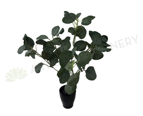 SP0283 Silver Dollar Eucalyptus Bunch 45cm