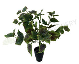 SP0297 Grape Vine Bunch 38cm