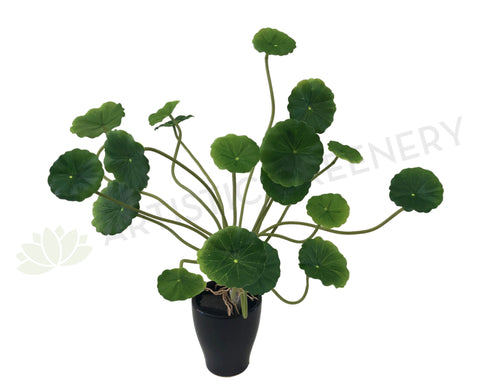 SP0298 Artificial Chinese Money Plant / Pilea peperomioides / Pancake Plant