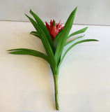 SP0311 Small Bromeliad Plant 50cm