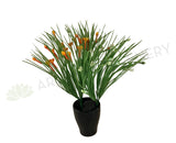 SP0317 Flowering Greenery 31vm Orange / White