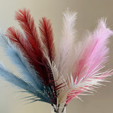 SP0327 Coloured Pampas Grass Bunch 71cm 4 Colours