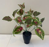 SP0328A Artificial Coleus Plant (CLEARANCE STOCK) 35cm | ARTISTIC GREENERY WA