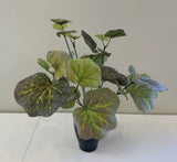 SP0328B Littleleaf Linden Plant (Cheap artificial plants) CLEARANCE STOCK 35cm | ARTISTIC GREENERY WA