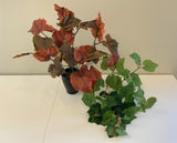 SP0329 Grape Vine Bunch 32cm 2 Styles Orange / Green