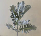 SP0335 Artificial Grey Dusty Miller / Silver Ragwort Foliage 39cm | ARTISTIC GREENERY