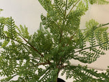 SP0336 Fern Leave Bunch 45cm Real Touch