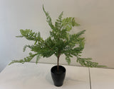 SP0336 Fern Leave Bunch 45cm Real Touch