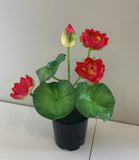 Red - SP0348 Silk Water Lily  / Lotus Flower Bunch 38cm 4 Colours | ARTISTIC GREENERY PERTH