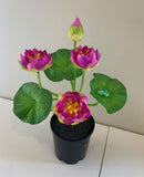 Pink - SP0348 Silk Water Lily  / Lotus Flower Bunch 38cm 4 Colours | ARTISTIC GREENERY PERTH