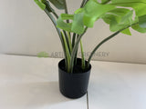 SP0351 Artificial Monstera / Swiss Cheese Plant Potted 65cm | ARTISTIC GREENERY