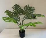 SP0351 Artificial Monstera / Swiss Cheese Plant Potted 65cm | ARTISTIC GREENERY