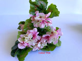 SP0357 Artificial Chinese Flowering Crabapple Bunch 36cm 3 styles | Artistic Greenery