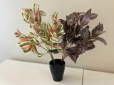 SP0358 Silk Wandering Jew Bunch 39cm 2 Styles | ARTISTIC GREENERY