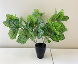 SP0359 Faux Small Calathea Plant 37cm 2 Styles | ARTISTIC GREENERY