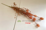 SP0368 Fake Dried-Look Flower - Wild Flower 60cm 4 Colours | ARTISTIC GREENERY Perth WA