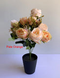 Pale Orange - SP0374 Silk Large Rose Bunch 50cm 5 Styles |  ARTISTIC GREENERY MALAGA AUSTRALIA