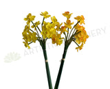 SP0378 Artificial Daffodil Bunch 51cm 2 Styles | ARTISTIC GREENERYSP0378 Artificial Daffodil Bunch 51cm 3 Styles | ARTISTIC GREENERY