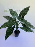 SP0384 Faux Caladium Plant 47cm | ARTISTIC GREENERY