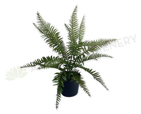 SP0386 Latex Boston Fern 56cm Real Touch Quality | ARTISTIC GREENERY
