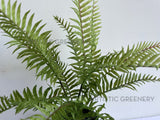 SP0386 Latex Boston Fern 56cm Real Touch Quality | ARTISTIC GREENERY