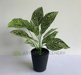 SP0393 Faux Peperomia Plant 42cmm | ARTISTIC GREENERY